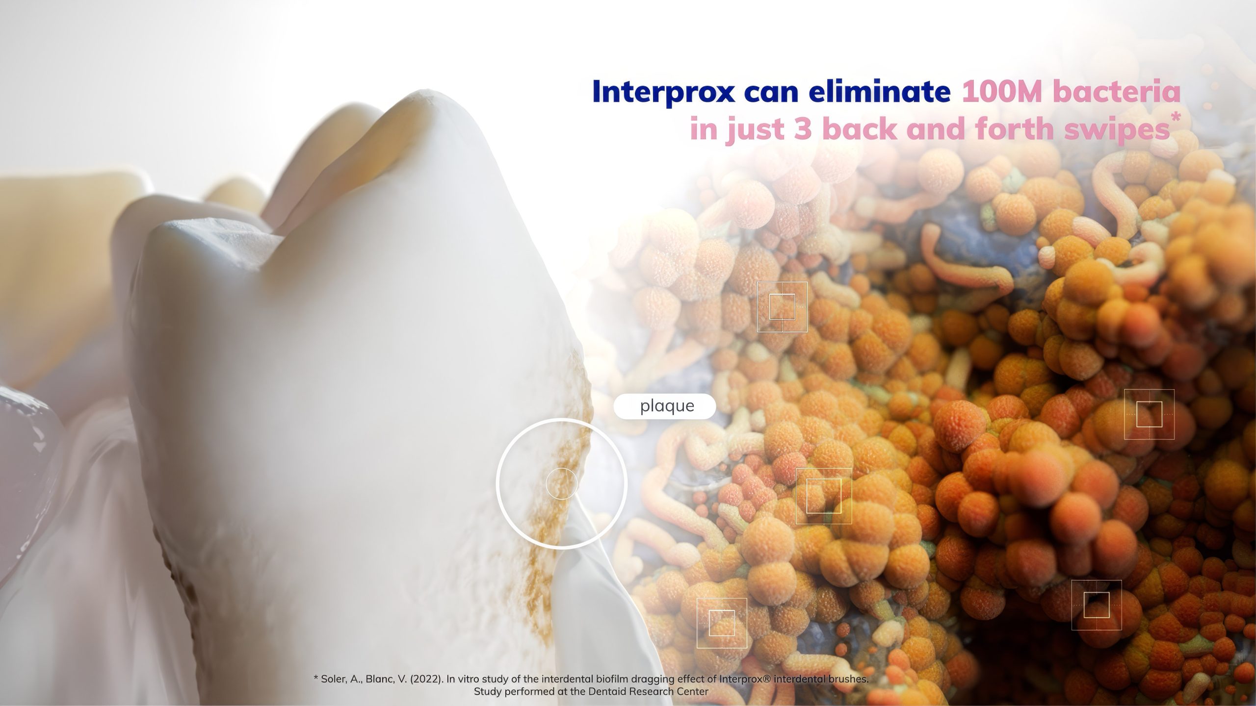 Animations with Interprox Interdental Brushes