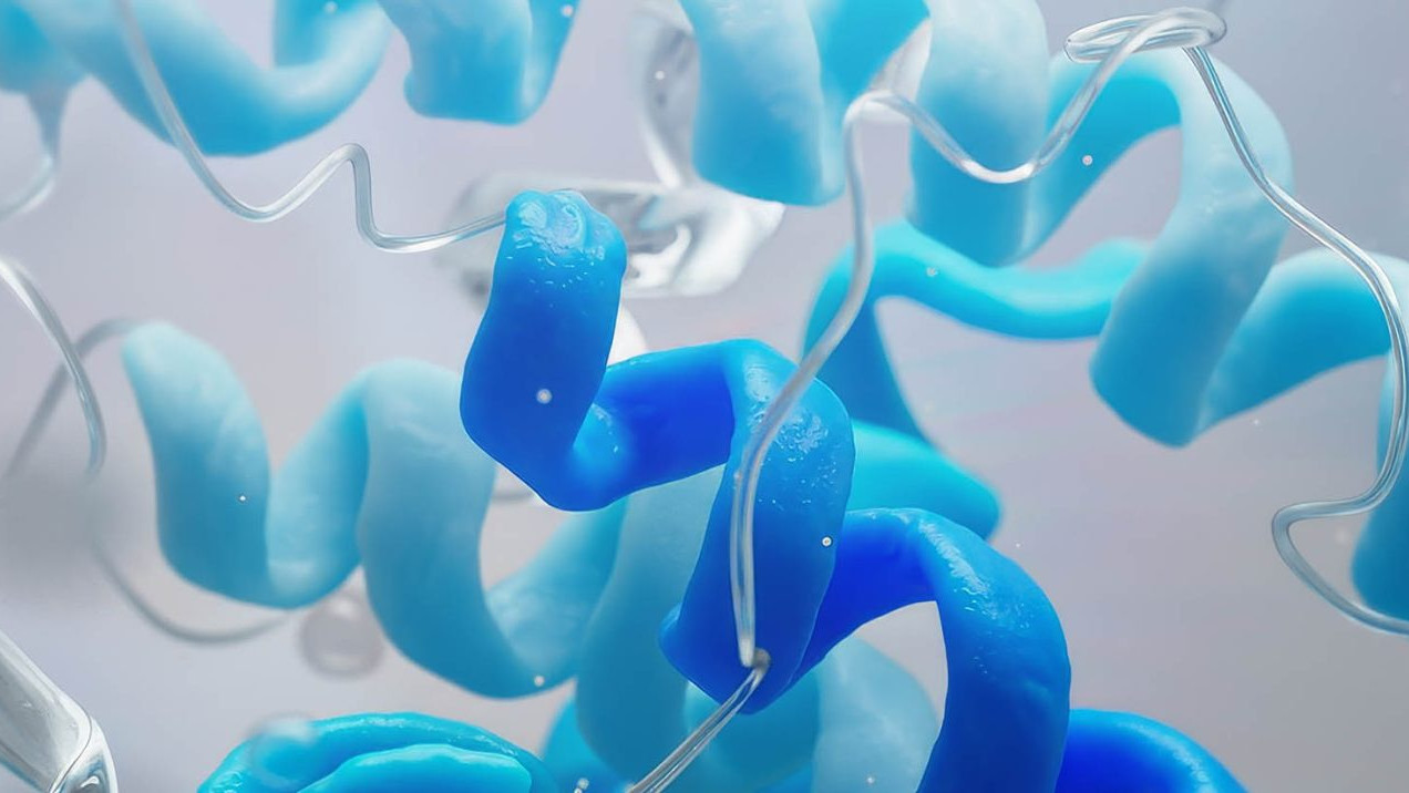 Rekom Molecular Design
