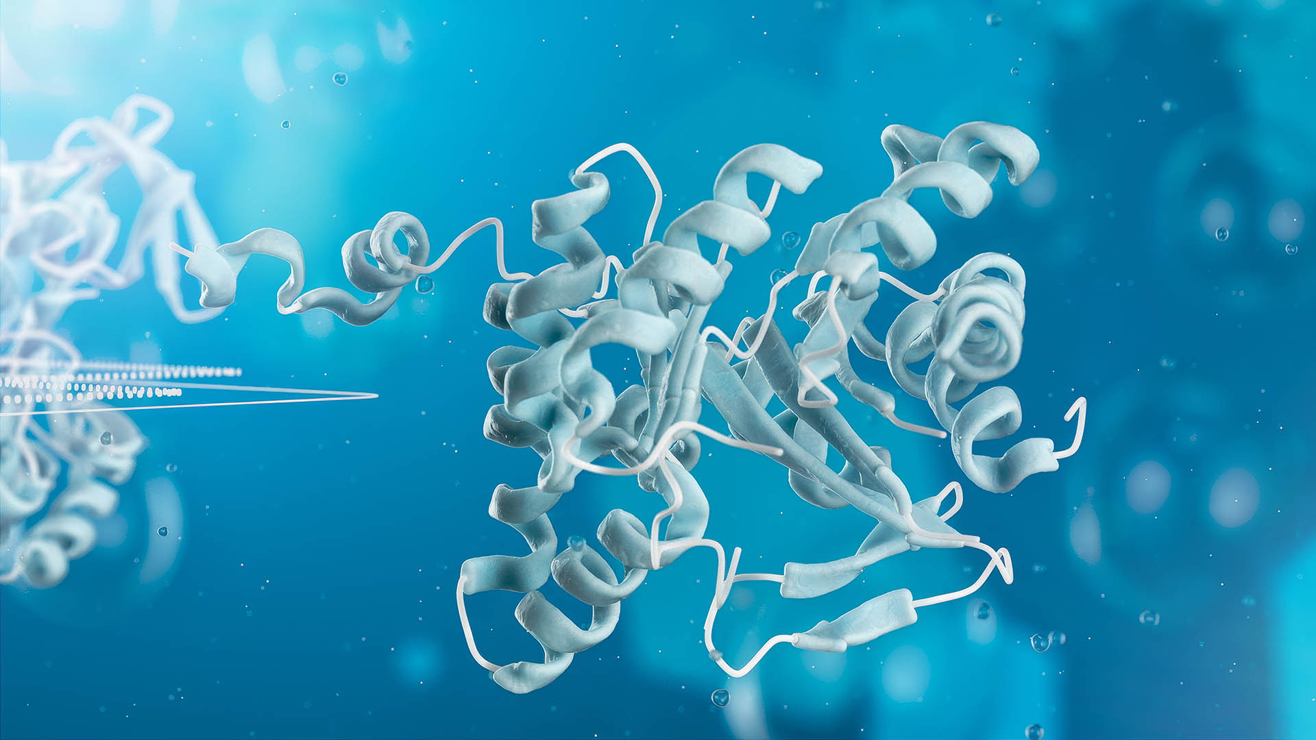Rekom Molecular Design