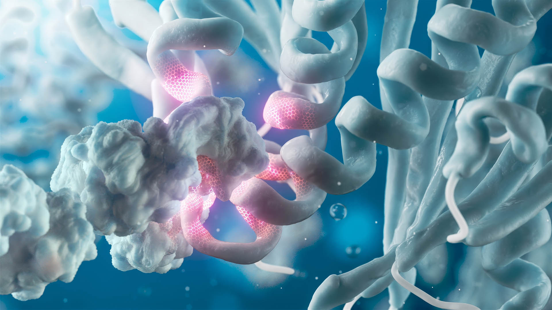 Rekom Molecular Design