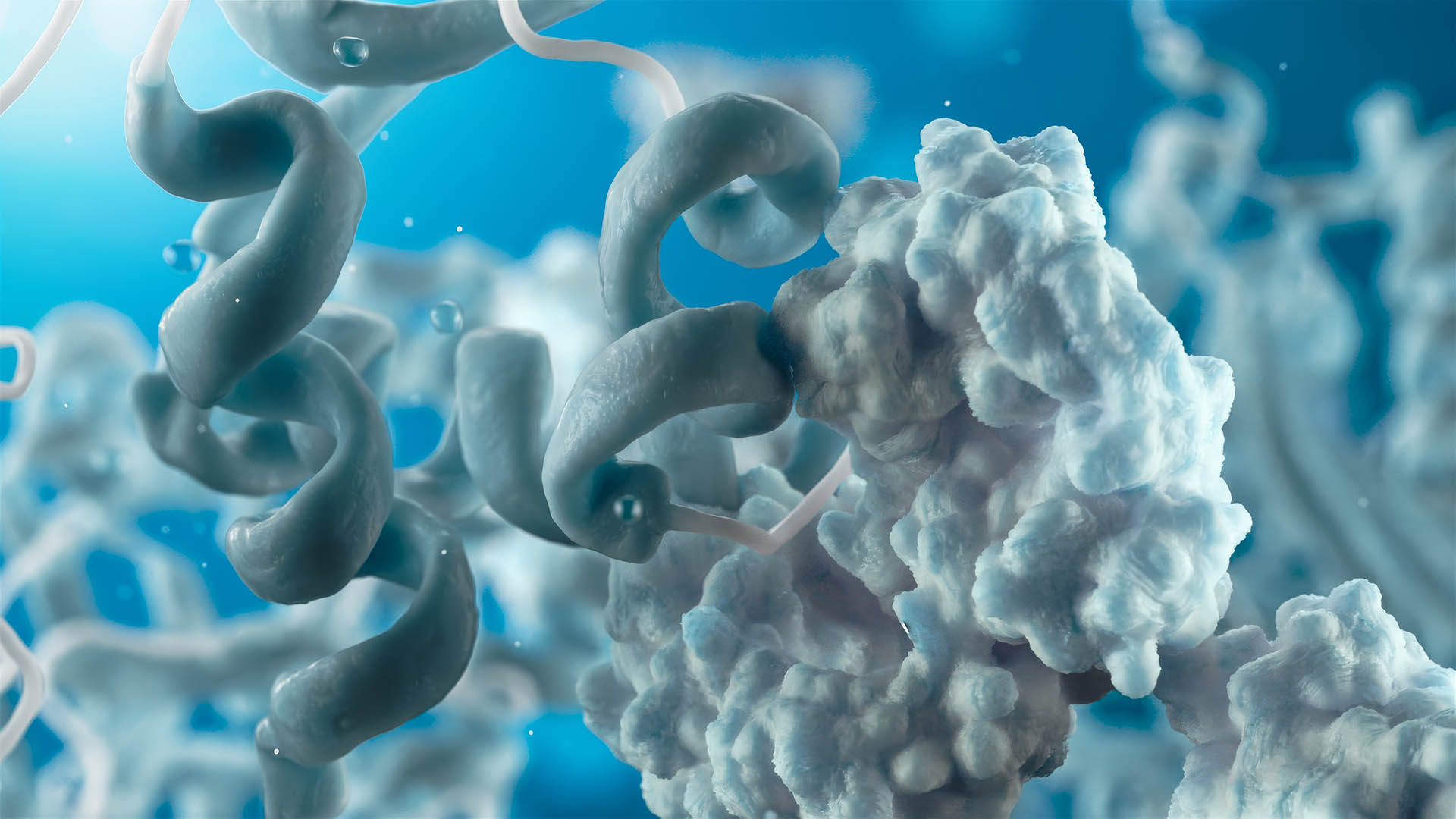 Rekom Molecular Design